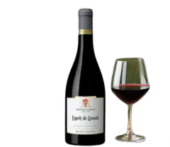 image du vin Esprit de Granit 2020 Rouge Aop Saint Joseph Cave de Tain