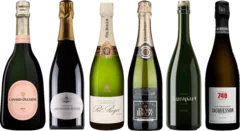 vue du vin de Dégustation Premium