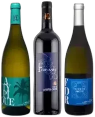 illustration du vin Découverte Château les Hauts de Caillevel