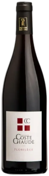 image du vin Florilège Côtes du Rhône Villages Visan Coste Chaude 2022 Bio