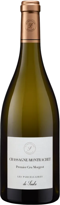 vue du vin Chassagne-Montrachet 1er Cru "Morgeot" Domaine de Saulx