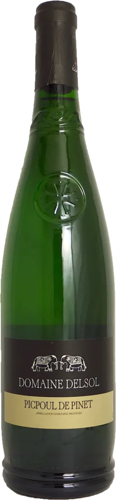 vue du vin Picpoul de Pinet