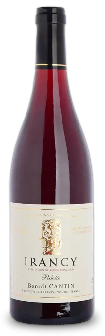 illustration du vin Aoc Irancy Palotte Domaine Benoît Cantin