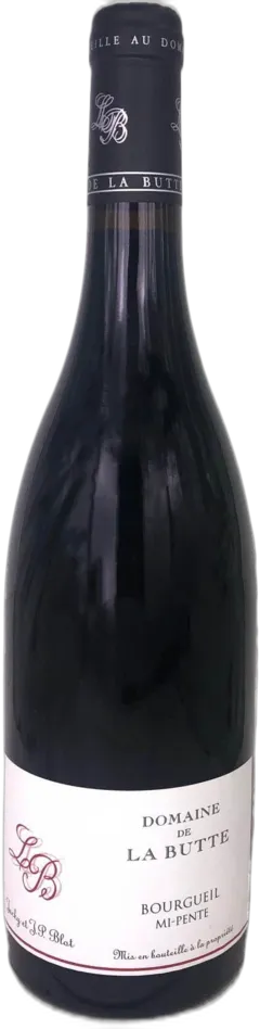 capture du vin Domaine de la Butte Bourgueil "mi-Pente" 2021 Vin Loire