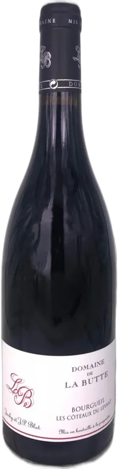 photo du vin Bourgueil les Côteaux du Levant Domaine de la Butte