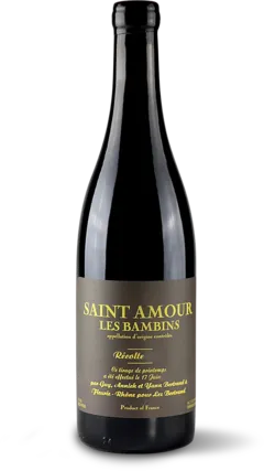 vue du vin Aoc Saint Amour "les Bambins" les Bertrand