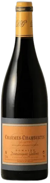 vue du vin Charmes-Chambertin Grand Cru Domaine Dominique Gallois