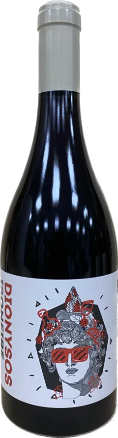 vue du vin Vin de France Dionysos Gamay Coup d’Jus les Marnes Blanches