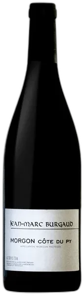 vue du vin Aoc Morgon Côte du py Domaine Jean-Marc Burgaud