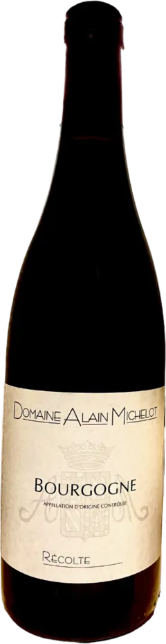 vue du vin Bourgogne Pinot Noir Domaine Alain Michelot