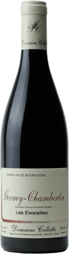 vue du vin Aoc Gevrey-Chambertin les Evocelles Domaine Collotte