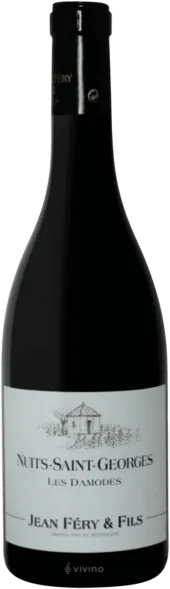 vue du vin Nuits-Saint-Georges "les Damodes" Domaine Jean Féry & Fils