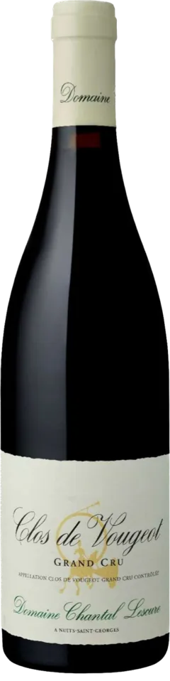 vue du vin Clos de Vougeot Grand Cru Domaine Chantal Lescure