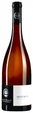 capture du vin Montagny