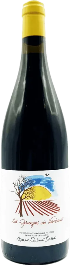 capture du vin Igp Bourgogne Sainte Marie la Blanche les Granges de Verbaut Maxime Dubuet Boillot