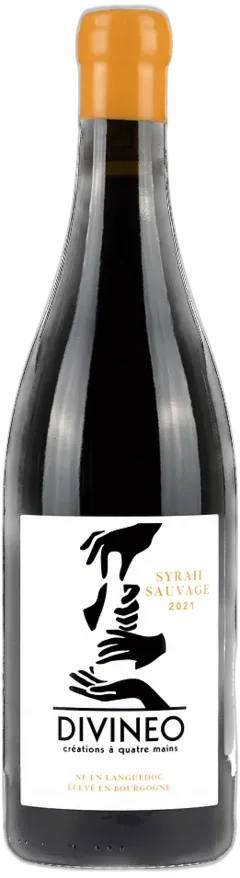 vue du vin Vin de France "Syrah Sauvage" Syrah/Cinsault Divineo Création à Quatre Mains