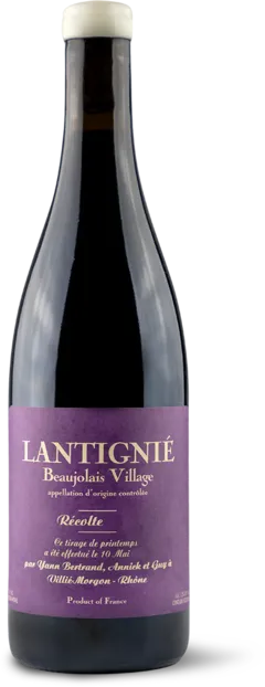 photo du vin Aoc Beaujolais-Village Lantignié les Bertrand