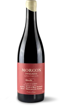 vue du vin Aoc Morgon Dynamite les Bertrand