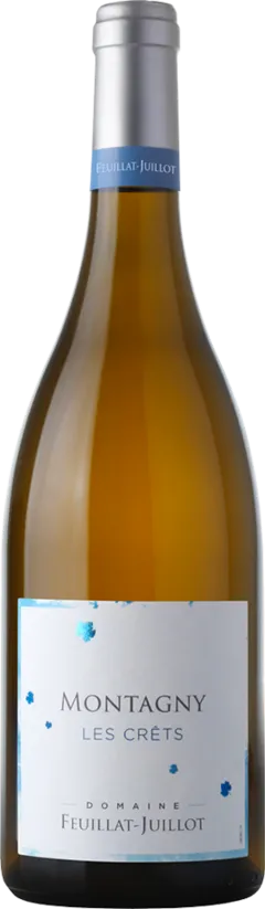 vue du vin Aoc Montagny les Crêts Domaine Feuillat-Juillot