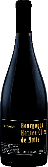 vue du vin Aoc Bourgogne Hautes Côtes de Nuits les Cabottes Domaine Julien Cruchandeau