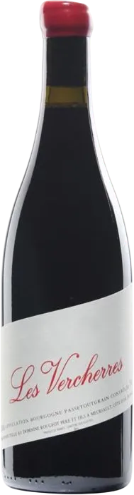 capture du vin Aoc Bourgogne Passetoutgrain les Vercherres Sans Soufre Ajouté Domaine Rougeot Père et Fils