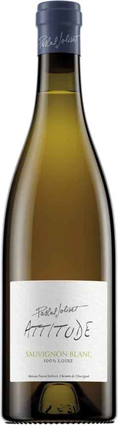 vue du vin Igp du Val de Loire Attitude Sauvignon Domaine Pascal Jolivet