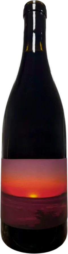 photos du vin Aoc Patrimonio Albore Domaine Cantina di Torra Nicolas Mariotti Bindi