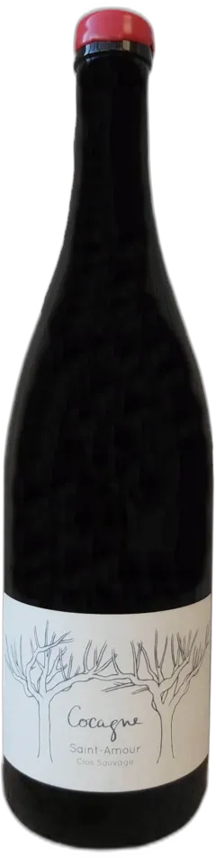 photo du vin Aoc Saint-Amour Cocagne Clos Sauvage