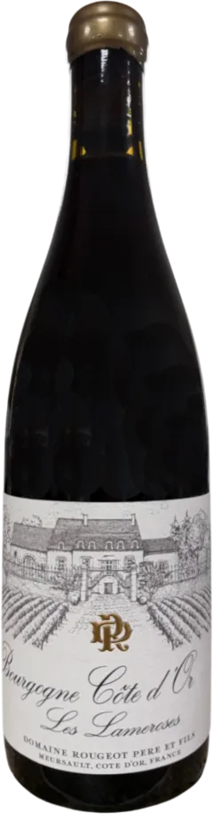 photos du vin Aoc Bourgogne Côte d’or les Vaux Sans Soufre Ajouté Domaine Rougeot Père et Fils