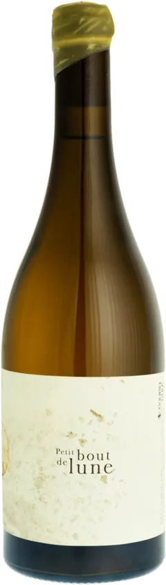 vue du vin Petit Bout de Lune