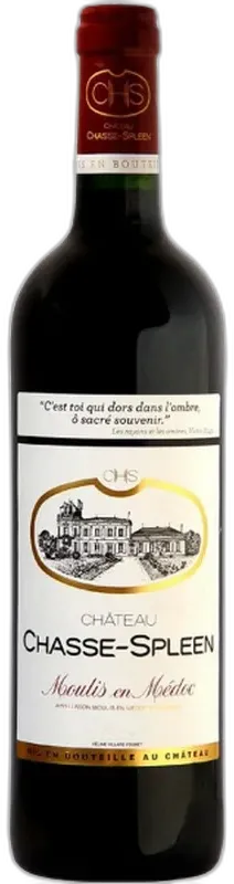 vue du vin Chasse Spleen Moulis