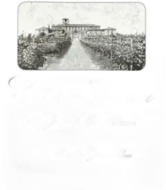 photo du vin Château Canon 1er Grand Cru Classé