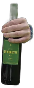 vue du vin la Gineste n°6