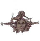 image du vin Château Fontis