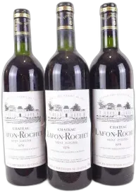 photo du vin Château Lafon-Rochet