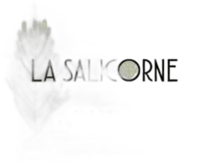 photos du vin la Salicorne