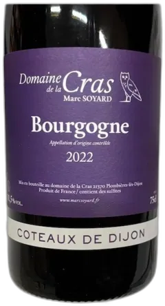 vue du vin Domaine de la Cras Bourgogne