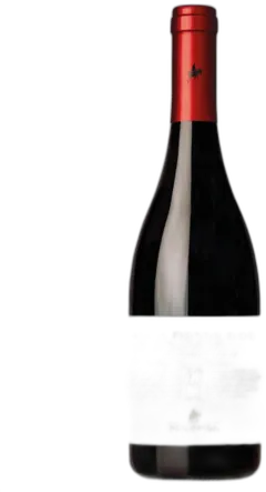 illustration du vin Etna Doc Rosso Lenza di Munti 720m s m Nicosia 2024