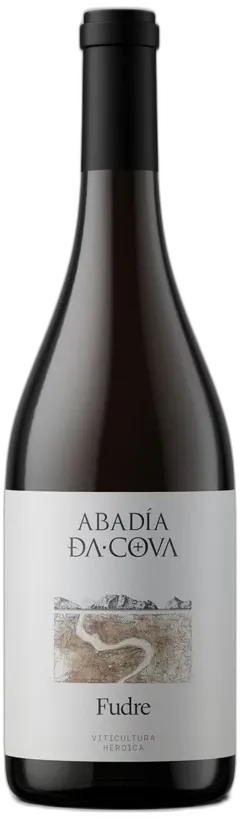photo du vin Ribeira Sacra do Mencía Adegas Guímaro