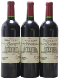 vue du vin Château Haut Marbuzet 2005