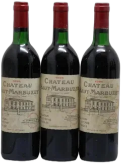 image du vin Château Haut Marbuzet 1995