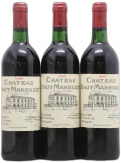 photos du vin Château Haut Marbuzet 1996