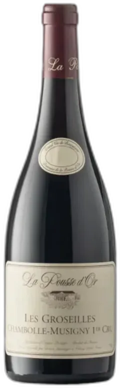 photos du vin Domaine de la Pousse d’or 1er Cru les Groseilles Chambolle-Musigny