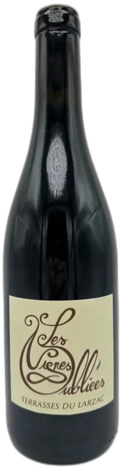 vue du vin Domaine les Vignes Oubliees Terrasses du Larzac Languedoc Roussillon France