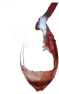 photo du vin Bib Côtes Catalanes "Vignobles Dom Brial"