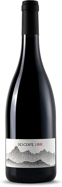 photo du vin Aoc Régnié Descente Libre Domaine Julien Sunier