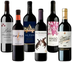photo du vin Tour d’Horizon des Vins Espagnols