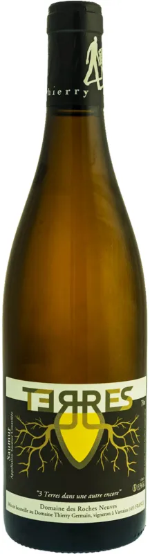 image du vin Domaine des Roches Neuves Terres Amphore