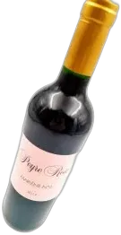 photo du vin Coteaux du Languedoc Domaine Peyre Rose Belle Léone Marlène Soria