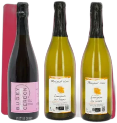 image du vin Domaine Raphael Fumey et Adeline Chatelain Chardonnay Jura Savoie France